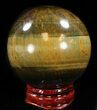 Top Quality Polished Tiger's Eye Sphere #37693-1
